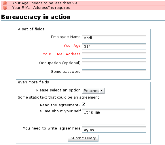 A sample form with validation errors